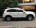 Chevrolet Captiva LT 2008 - Bán Chevrolet Captiva LT 2008, màu trắng, nhập khẩu còn mới, giá 365tr