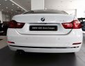 BMW 4 Series 420i Gran Coup 2018 - Bán xe BMW 420i GC thế hệ mới, sang trọng đẳng cấp, chỉ cần 487 triệu, xe giao ngay