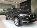 BMW X5 xDrive35i 2018 - Bán xe BMW X5 xDrive35i thể thao, xe 7 chỗ, có xe giao ngay