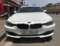 BMW 3 Series 320i 2012 - Bán BMW 3 Series 320i đời 2012, màu trắng, xe nhập  