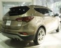 Hyundai Santa Fe 4WD   2018 - Hyundai BRVT-Bán Hyundai Santa Fe 4WD - Dầu -- 2018, màu vàng cát-- giao xe ngay