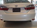 Toyota Camry 2.5Q 2018 - Bán Toyota Camry 2.5Q khuyến mãi cực lớn, giảm tiền mặt, phụ kiện chính hãng, hỗ trợ mua xe trả góp, hotline 0987404316