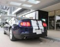 Ford Mustang 2011 - Bán xe Ford Mustang đời 2011, xe nhập