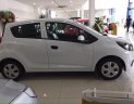 Chevrolet Spark Van 2018 - Bán Chevrolet Spark Van 2 chỗ chở hàng - Hỗ trợ trả góp 90% - giảm tiền mặt LH 0912844768