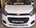 Chevrolet Spark Van 2018 - Bán Chevrolet Spark Van 2 chỗ chở hàng - Hỗ trợ trả góp 90% - giảm tiền mặt LH 0912844768