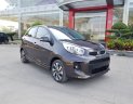 Kia Morning 1.25 S AT 2018 - Kia Phú Mỹ Hưng - bán Kia Morning S nâu số tự động full option mẫu mới nhất tháng 06/2018, LH: 0934.075.248 giá tốt nhất