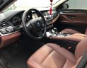 BMW 5 Series 520i 2016 - Bán BMW 5 Series 520i đời 2016, màu đen, xe nhập