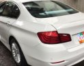 BMW 5 Series 520i 2015 - Bán BMW 5 Series 520i đời 2015, màu trắng