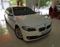 BMW 5 Series 528i 2015 - Bán BMW 5 Series 528i đời 2015, màu trắng, xe nhập