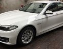 BMW 5 Series 520i 2015 - Bán BMW 5 Series 520i đời 2015, màu trắng