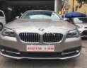 BMW 5 Series 520i 2014 - Bán BMW 5 Series 520i sản xuất năm 2014, màu vàng, nhập khẩu