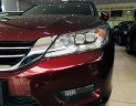 Honda Accord 2.4 AT 2014 - Bán ô tô Honda Accord 2.4 AT 2014, màu đỏ, nhập khẩu