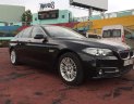 BMW 5 Series 520i 2014 - Bán BMW 5 Series 520i năm 2014, xe nhập khẩu Đức