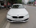 BMW 3 Series 320i 2016 - Bán BMW 3 Series 320i đời 2016, màu trắng, nhập khẩu chính hãng, số tự động