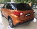 Suzuki Vitara 1.6L 2018 - Bán xe Suzuki Vitara Sport 2018 mới