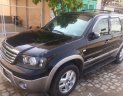 Ford Escape 2008 - Cần bán Ford Escape sản xuất 2008, màu đen, giá 340tr