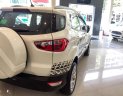 Ford EcoSport Trend AT 2018 - Bán xe Ford Ecosport 1.5L Titanium, MT, giá từ 545 triệu (chưa khuyến mãi) vay 85% lãi cố định 0.5%/tháng