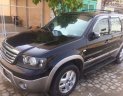 Ford Escape 2008 - Cần bán Ford Escape đời 2008, màu đen