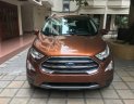 Ford EcoSport  Ecoboost 1.0 AT 2018 - Bán Ford EcoSport Titanium năm sản xuất 2018, màu nâu tại Hưng Yên
