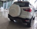 Ford EcoSport 1.5L Titanium AT 2018 - Cần bán xe Ford EcoSport đầy đủ các phiên bản năm 2018, xe giao ngay, giá cạnh tranh, LH: 0918889278 để được tư vấn