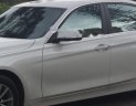 BMW 3 Series 320i 2014 - Cần bán gấp BMW 3 Series 320i đời 2014, màu trắng, nhập khẩu nguyên chiếc chính chủ, 950tr