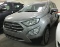 Ford EcoSport  Trend AT 2018 - Cần bán Ford EcoSport Trend AT sản xuất 2018, màu bạc, giá 593tr giao xe tại Hải Phòng