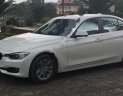 BMW 3 Series 320i 2014 - Cần bán gấp BMW 3 Series 320i đời 2014, màu trắng, nhập khẩu nguyên chiếc chính chủ, 950tr