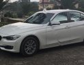 BMW 3 Series 320i 2014 - Cần bán gấp BMW 3 Series 320i đời 2014, màu trắng, nhập khẩu nguyên chiếc chính chủ, 950tr