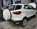 Ford EcoSport Titanium 1.5l 2018 - Bán Ford Ecosport Titanium 1.5l, chỉ 100tr nhận xe ngay, hỗ trợ thủ tục, K/M phụ kiện bảo hiểm, tiền mặt