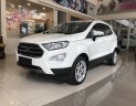 Ford EcoSport Titanium 1.5l 2018 - Bán Ford Ecosport Titanium 1.5l, chỉ 100tr nhận xe ngay, hỗ trợ thủ tục, K/M phụ kiện bảo hiểm, tiền mặt