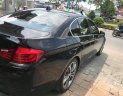 BMW 5 Series 520i 2015 - BMW 520i màu nau sản xuất 2015 ,nhập khẩu