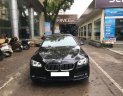 BMW 5 Series 520i 2015 - Bán BMW 5 Series 520i đời 2015, màu đen, nhập khẩu