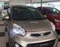 Kia Picanto S 1.25 AT 2013 - Bán xe Kia Picanto S sản xuất 2013, màu xám