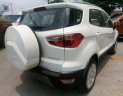 Ford EcoSport 1.5L Trend 2018 - Bán xe Ford EcoSport 1.5L số tự động sản xuất 2018, màu trắng, nhập khẩu 3 cục