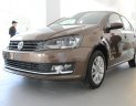 Volkswagen Polo 1.6 AT 2017 - Bán xe Volkswagen Polo 1.6 AT năm sản xuất 2017, màu nâu, nhập khẩu, giá tốt