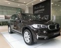 BMW X5 xDrive35i  2017 - Hotline 0938906047 - Giao ngay BMW X5 xDrive35i 2017 Sparkling Brown - thủ tục 7 ngày làm việc + Giao xe toàn miền Nam