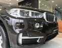 BMW X5 xDrive35i  2017 - Hotline 0938906047 - Giao ngay BMW X5 xDrive35i 2017 Sparkling Brown - thủ tục 7 ngày làm việc + Giao xe toàn miền Nam