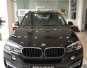 BMW X5 xDrive35i  2017 - Hotline 0938906047 - Giao ngay BMW X5 xDrive35i 2017 Sparkling Brown - thủ tục 7 ngày làm việc + Giao xe toàn miền Nam