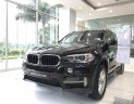 BMW X5 xDrive35i  2017 - Hotline 0938906047 - Giao ngay BMW X5 xDrive35i 2017 Sparkling Brown - thủ tục 7 ngày làm việc + Giao xe toàn miền Nam