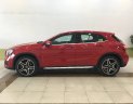 Mercedes-Benz GL Cũ Mercedes-Benz A 250 2017 - Xe Cũ Mercedes-Benz GLA 250 2017