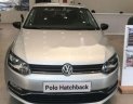 Volkswagen Polo 2017 - Bán Volkswagen Polo đời 2017, màu bạc, nhập khẩu, 695tr