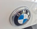 BMW 5 Series Sedan 2017 - Bán BMW 5 Series Sedan sản xuất 2017, màu trắng, xe nhập