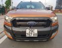 Ford Ranger Wildtrak 3.2L 4x4 AT 2017 - Bán Ford Ranger Wildtrak 3.2L 4x4 AT đời 2017, nhập khẩu nguyên chiếc đẹp như mới, 875tr