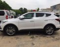 Hyundai Santa Fe 2018 - Bán xe Hyundai Santa Fe 2018, màu trắng, giá tốt
