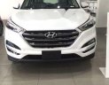 Hyundai Santa Fe 2018 - Bán xe Hyundai Santa Fe 2018, màu trắng, giá tốt