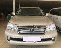 Lexus GX 460 2010 - Bán xe Lexus GX 460 2010, màu vàng, xe nhập