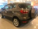 Ford EcoSport 2018 - Cần bán xe Ford EcoSport sản xuất 2018, màu xám, 648 triệu