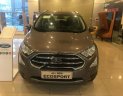 Ford EcoSport 2018 - Cần bán xe Ford EcoSport sản xuất 2018, màu xám, 648 triệu