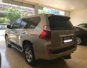 Lexus GX 460 2010 - Bán xe Lexus GX 460 2010, màu vàng, xe nhập