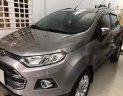 Ford EcoSport Titanium 2015 - Bán Ford EcoSport Titanium đời 2015, màu xám số tự động